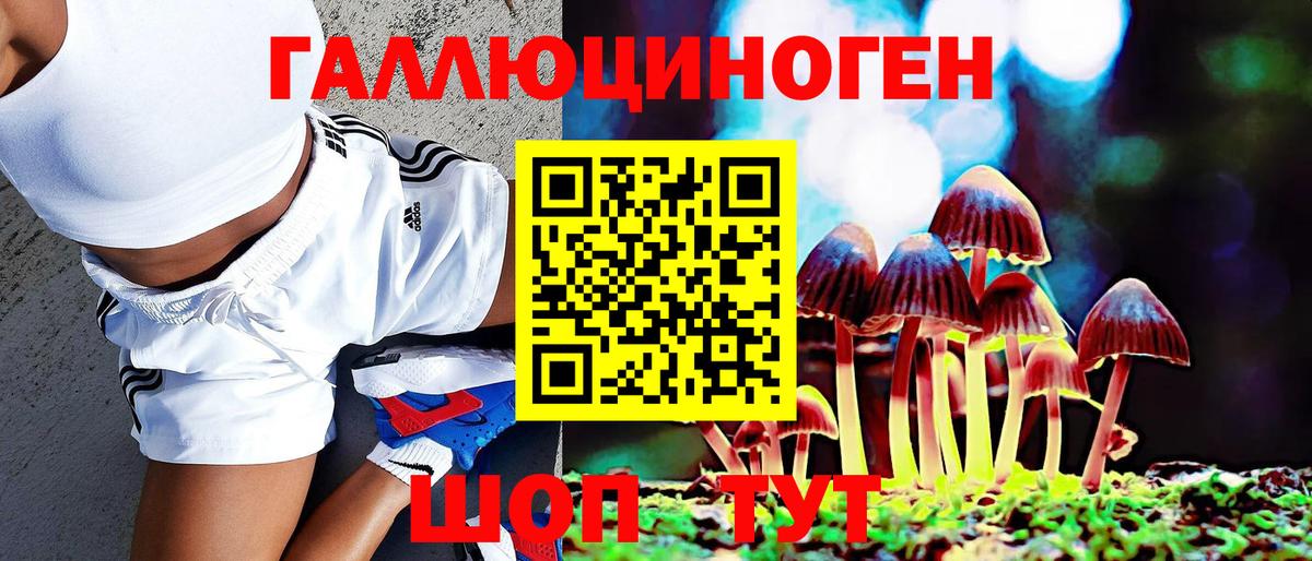 Грязи  Псилоцибиновые грибы мухоморы  как найти закладки  Вход с VPN 